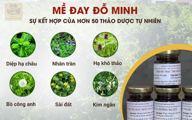 Nguồn dược liệu thuần Việt có mặt trong bài thuốc Mề đay Đỗ Minh